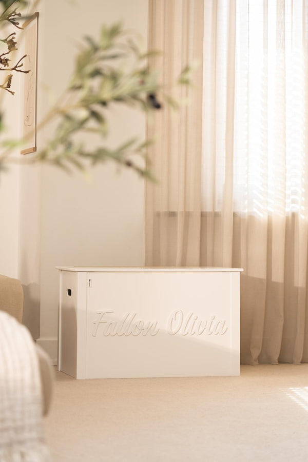 Gepersonaliseerde speelgoedkisten geverfd